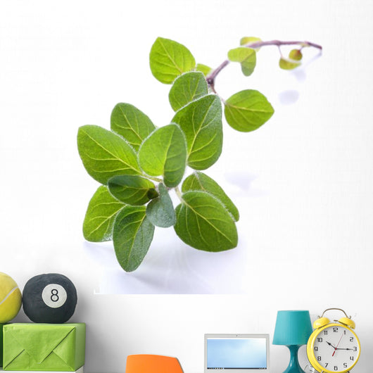 Fresh Oregano Sprig Reflected Wall Decal