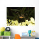 Daddy-long-legs Spider Wall Decal