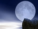 Black Rock and Full Wall Decal