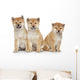 Three Shiba Inu Puppies Wall Decal