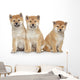 Three Shiba Inu Puppies Wall Decal
