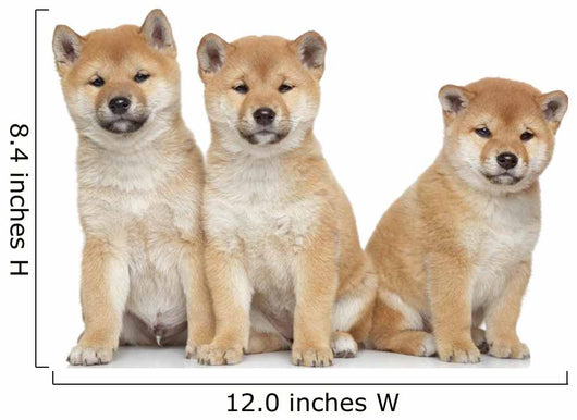 Three Shiba Inu Puppies Wall Decal