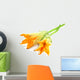 Fresh Edible Pumpkin Flower Wall Decal