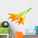 Fresh Edible Pumpkin Flower Wall Decal