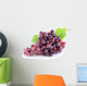 Grape Cluster with Leaves Wall Decal