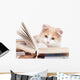 Little Cat Read Book Wall Decal