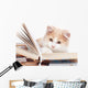 Little Cat Read Book Wall Decal