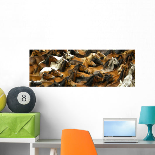 Large Herd of Horses Wall Decal