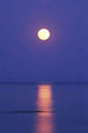 Moon Light Water Wall Decal