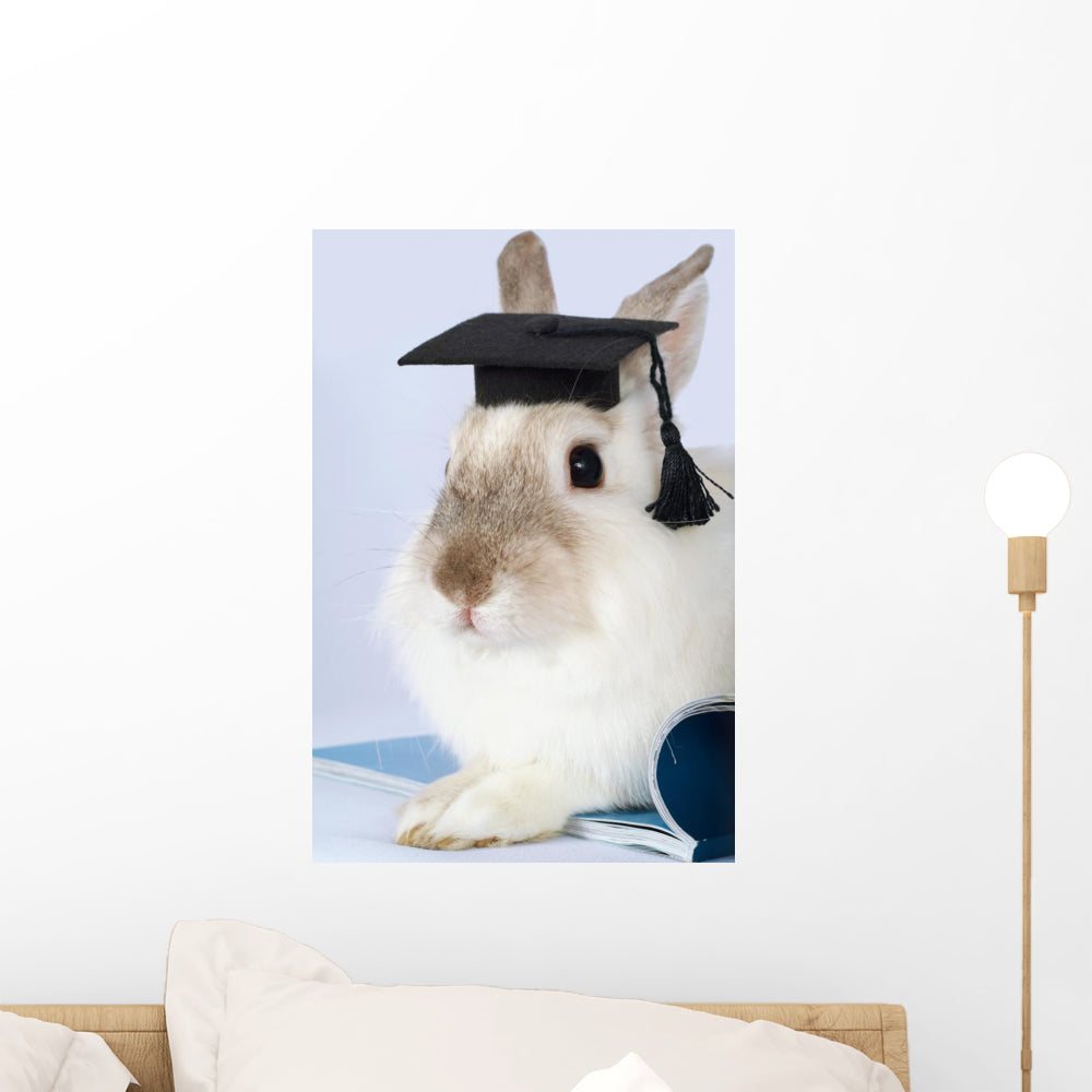 Rabbit Graduation Cap Wall Decal - WallMonkeys.com – Wallmonkeys