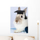 Rabbit Graduation Cap Wall Decal