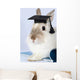 Rabbit Graduation Cap Wall Decal