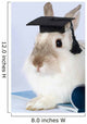 Rabbit Graduation Cap Wall Decal