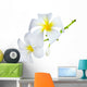 Frangipani Spa Flowers Wall Decal