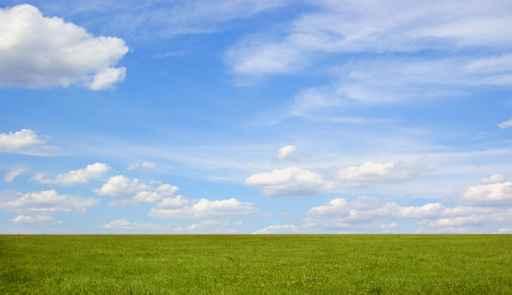 Heaven as an Open Field Wall Decal