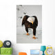 Eagle Going Snow Wall Decal
