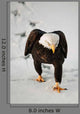 Eagle Going Snow Wall Decal