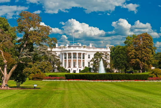White House Wall Decal