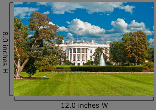 White House Wall Decal