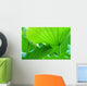 Lotus Leaves Wall Decal