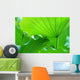 Lotus Leaves Wall Decal