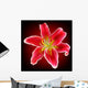Vector Photo-realistic Red-white Lily Wall Decal