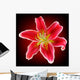 Vector Photo-realistic Red-white Lily Wall Decal
