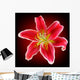 Vector Photo-realistic Red-white Lily Wall Decal