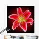 Vector Photo-realistic Red-white Lily Wall Decal