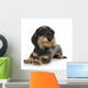 Young Coarse Haired Dachshund Wall Decal