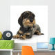 Young Coarse Haired Dachshund Wall Decal