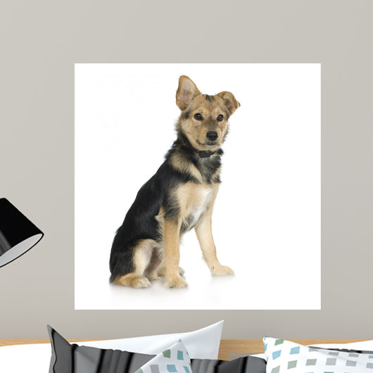 Dog Front White Wall Decal
