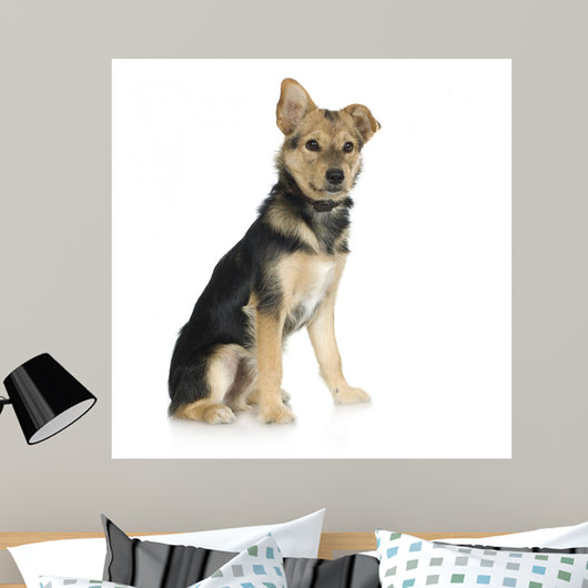 Dog Front White Wall Decal