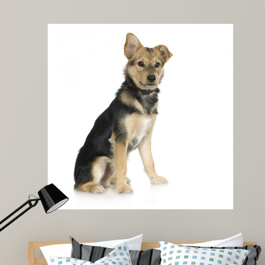 Dog Front White Wall Decal