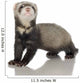 Ferret Kit Front White Wall Decal