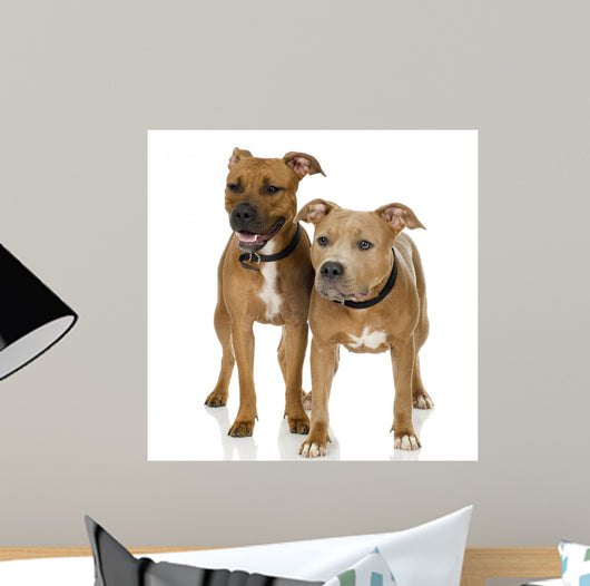 Couple Juvenile American Staffordshire Wall Decal