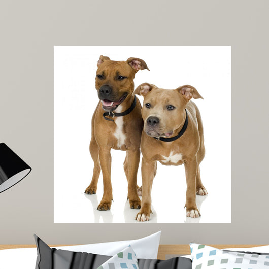 Couple Juvenile American Staffordshire Wall Decal
