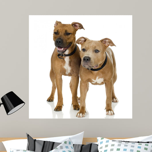 Couple Juvenile American Staffordshire Wall Decal