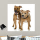 Couple Juvenile American Staffordshire Wall Decal