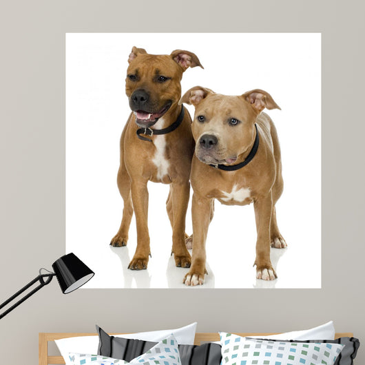 Couple Juvenile American Staffordshire Wall Decal