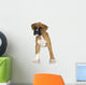 Puppy Boxer Front White Wall Decal