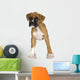 Puppy Boxer Front White Wall Decal