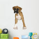 Puppy Boxer Front White Wall Decal