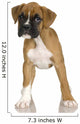 Puppy Boxer Front White Wall Decal