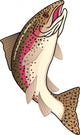 Trout Fish Wall Decal