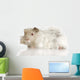 Lilac Peruvian Guinea Pig Wall Decal
