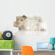 Lilac Peruvian Guinea Pig Wall Decal