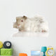 Lilac Peruvian Guinea Pig Wall Decal