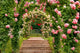 Staircase Rose Garden Wall Decal