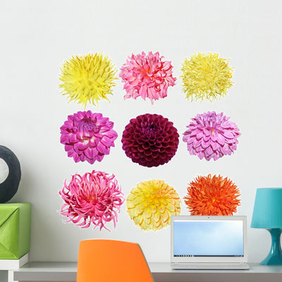 Dahlia Set Wall Decal shown on a wall